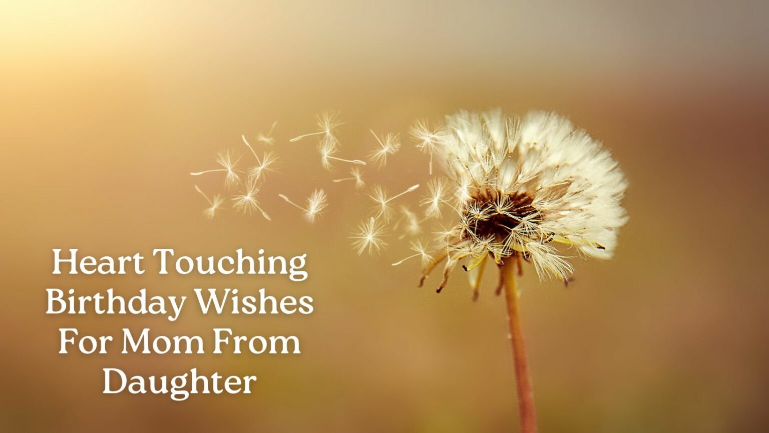 Heart Touching Birthday Wishes For Mom From Daughter Wishes2Quotes