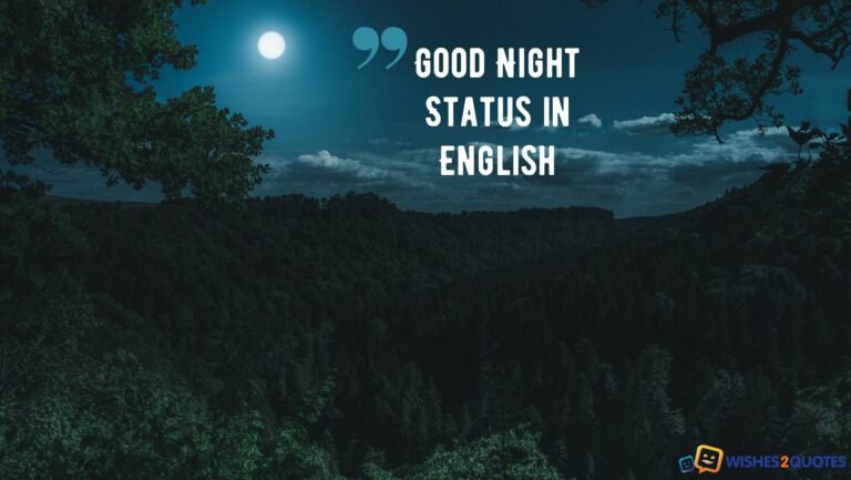 Good Night Status in English